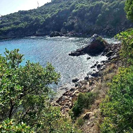 Sunny House Апартаменты